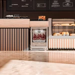 Холодильник для сухого вызревания продуктов Meyvel MM-45SR_